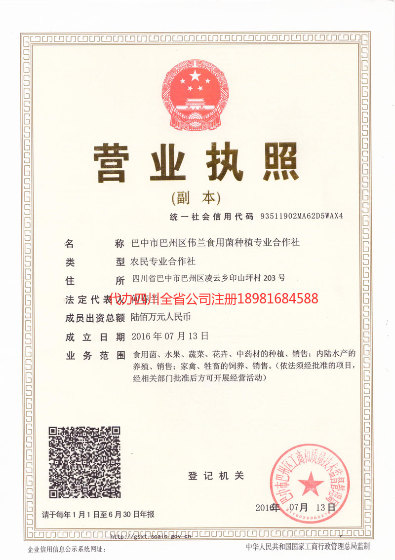 酒泉酒泉伟兰食用菌种植专业合作社